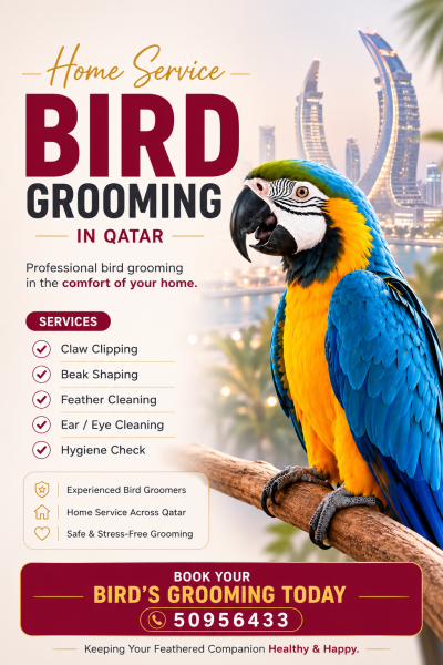 BIRD GROOMING AT HOME - 1