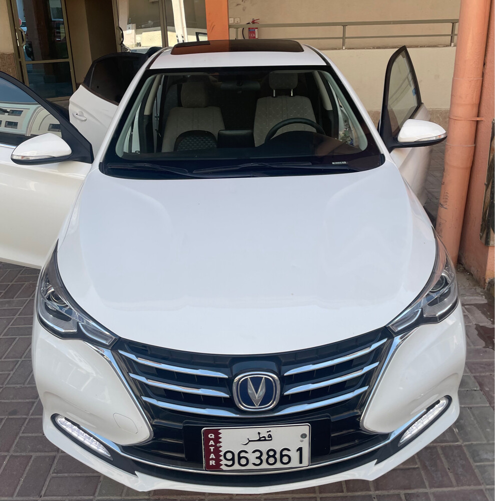 Family car Alsvin 2025 - 7