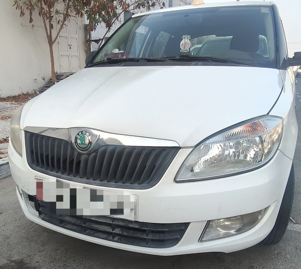 Fabia 2013 Items Only - 1
