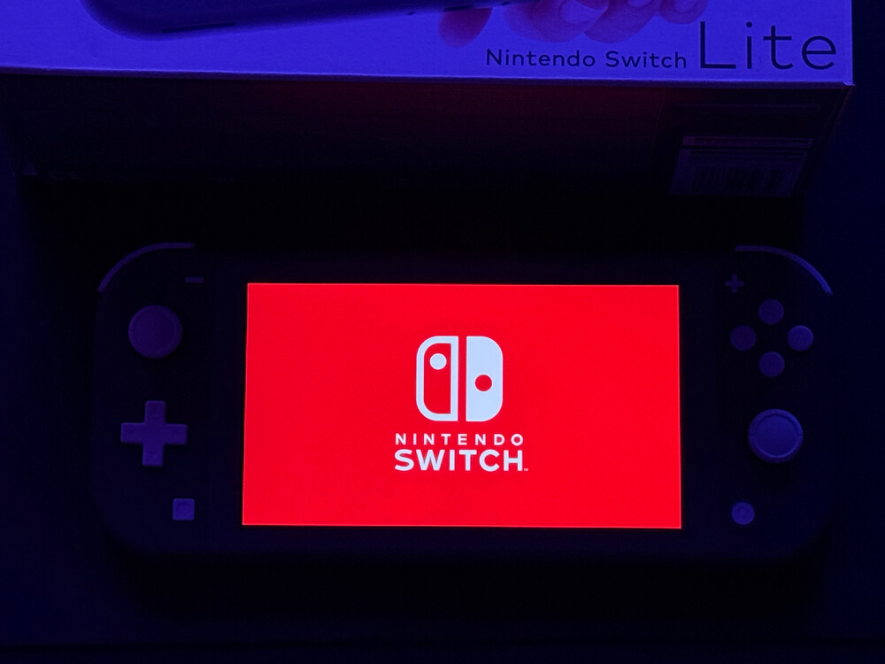 Switch Lite (Grey) - 2