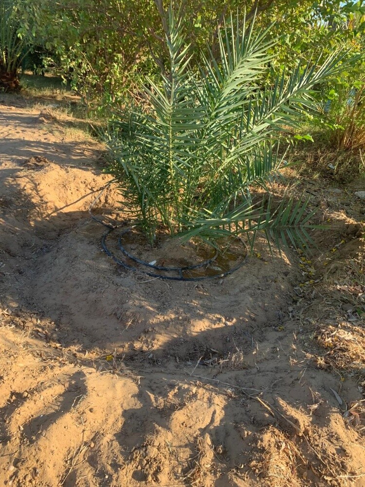 للبيع مزرعه منطقة الزغبن الشمال - 6