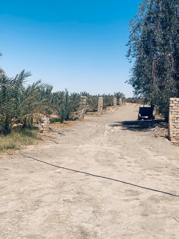 للبيع مزرعه منطقة الزغبن الشمال - 5