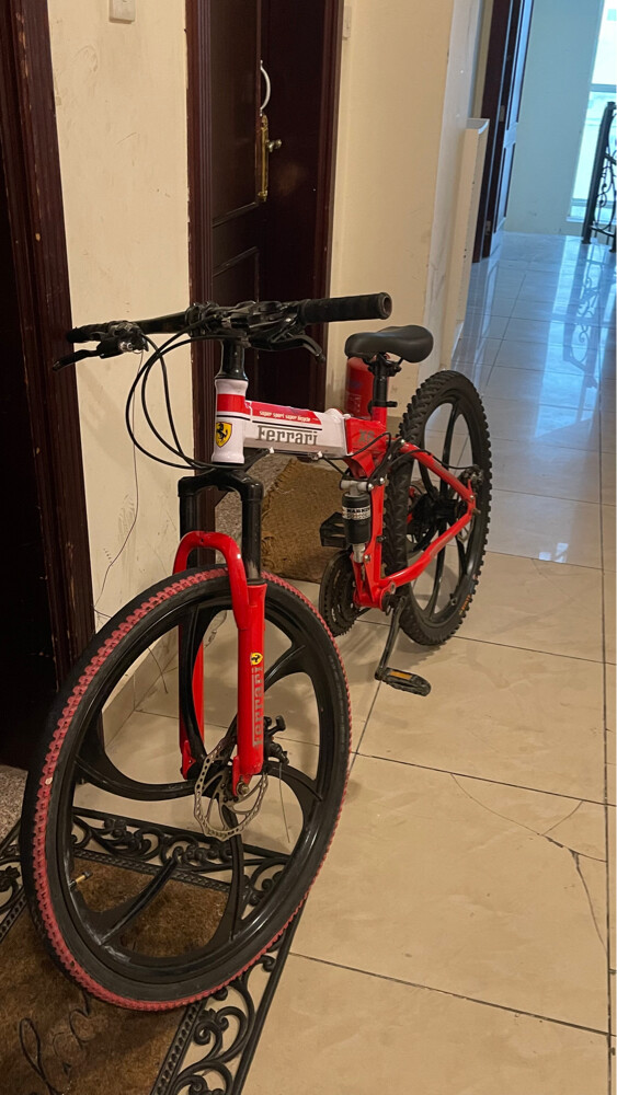 Ferrari cycle (Very Clean) - 7