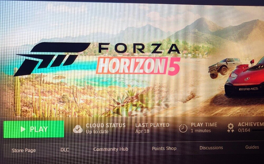 Forza horizon 5 - 1