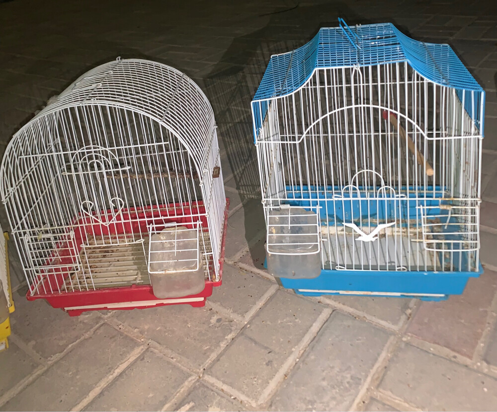 أقفاص طيور - 2