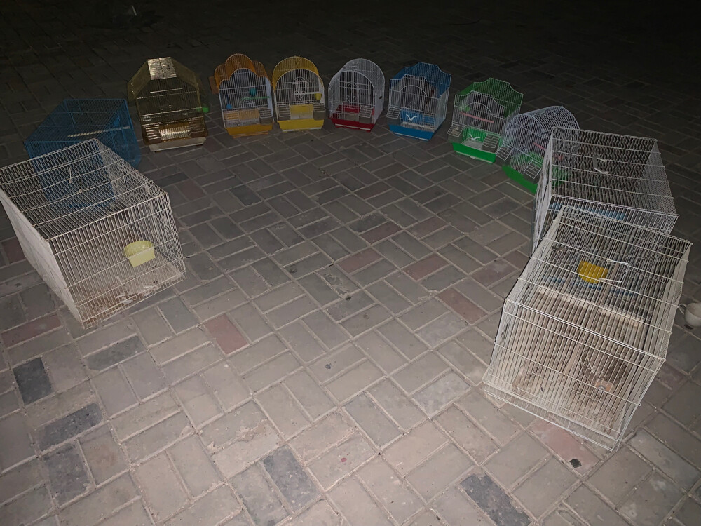 أقفاص طيور - 1
