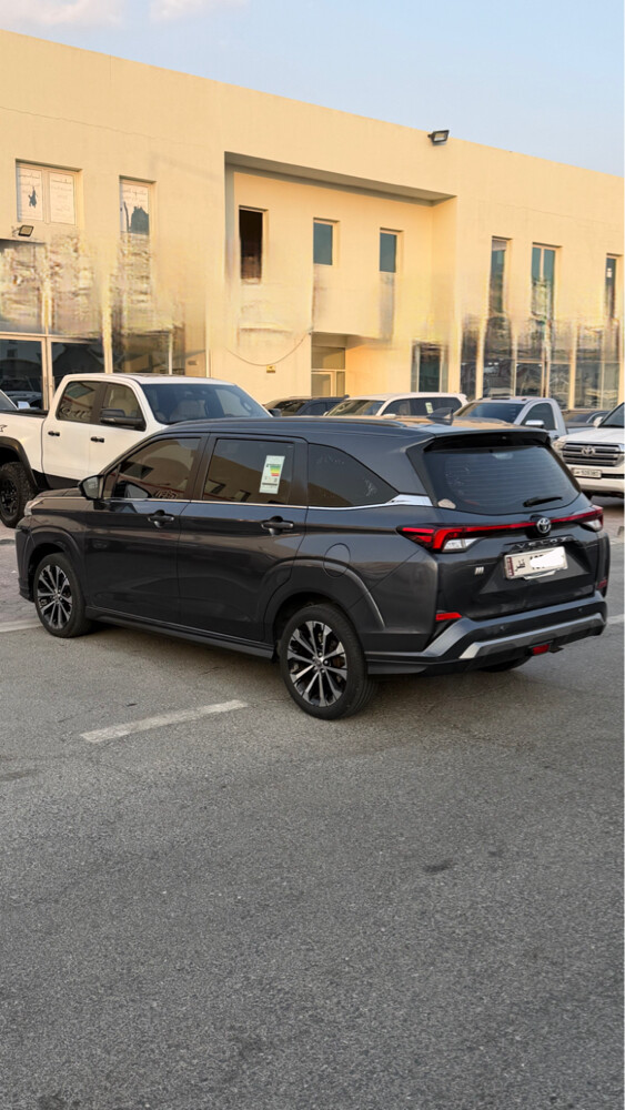 فيلوز رمادي  - 3