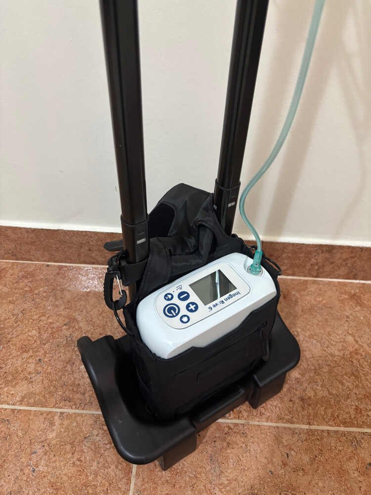 Oxygen concentrator portable - 1