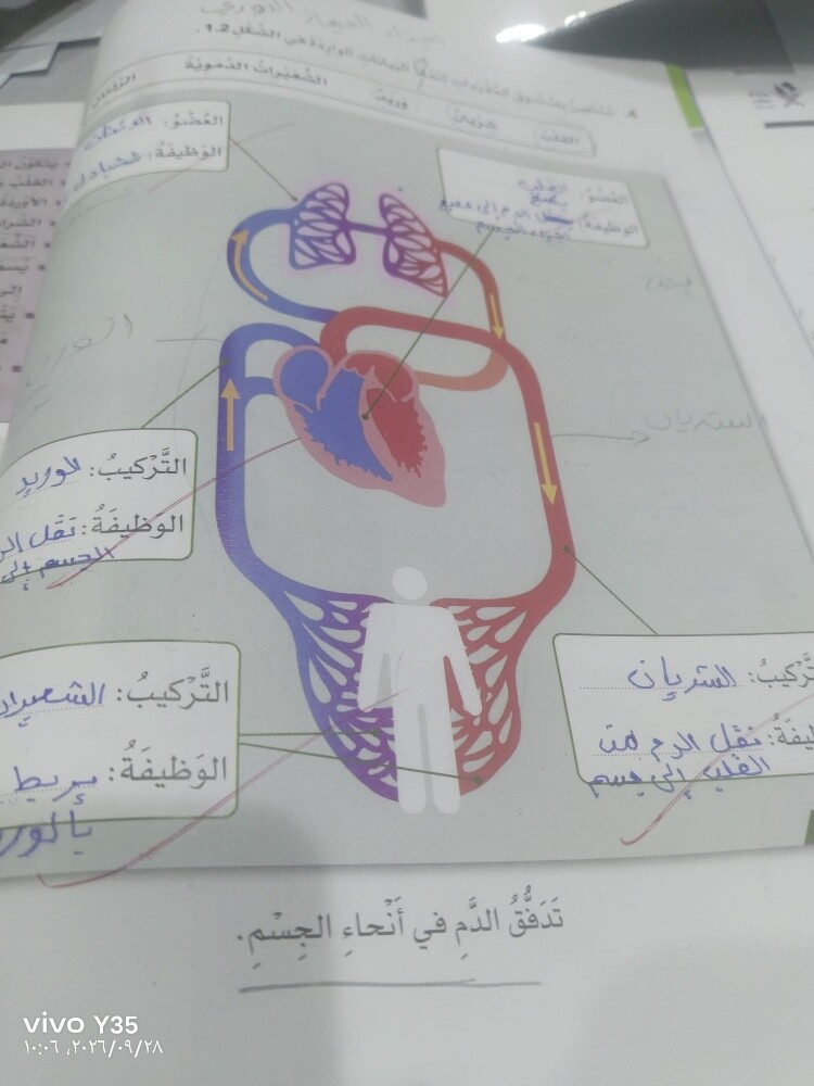 teacher English - 1