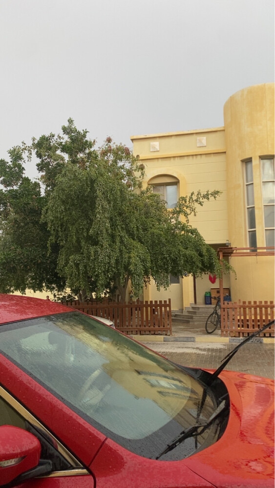 اكس تريل - 8