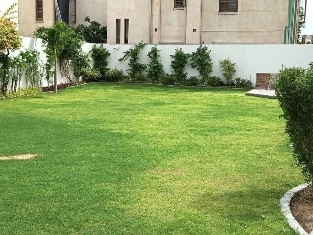 تنسيق وزراعه الحدائق وأحواض الزرع - 12