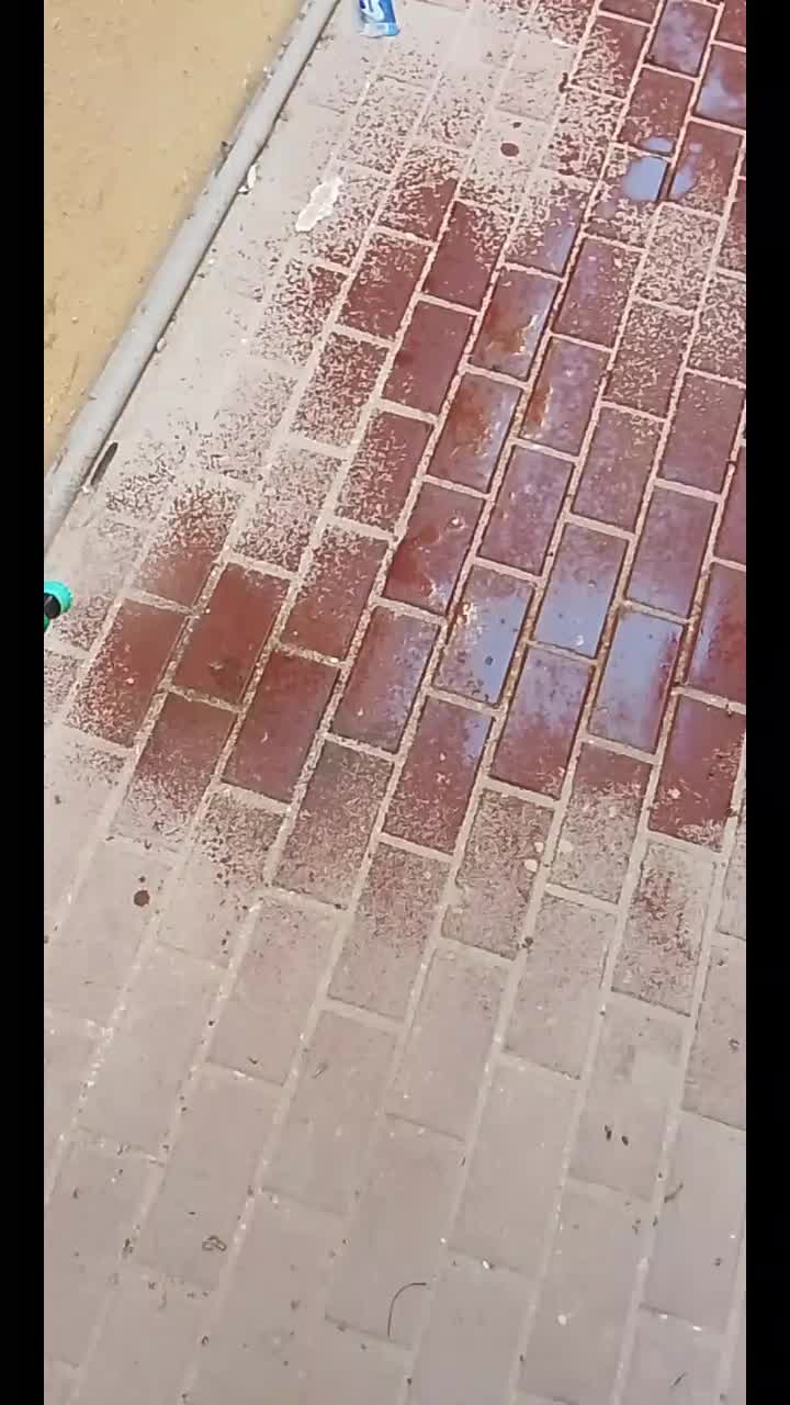 مكافحه الحشرات - 1