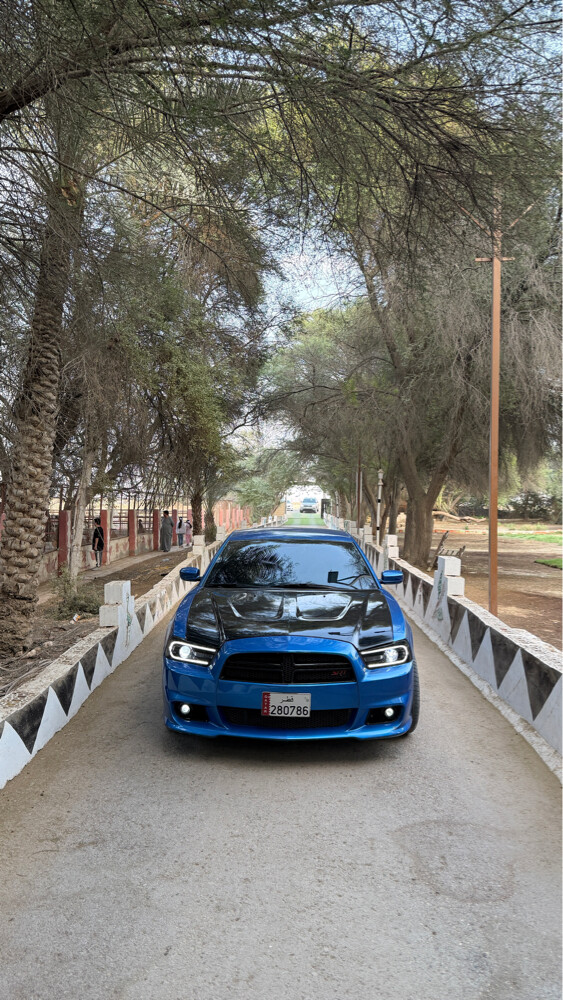2014 Dodge Charger R/T 5.7L HEMI V8 - 3