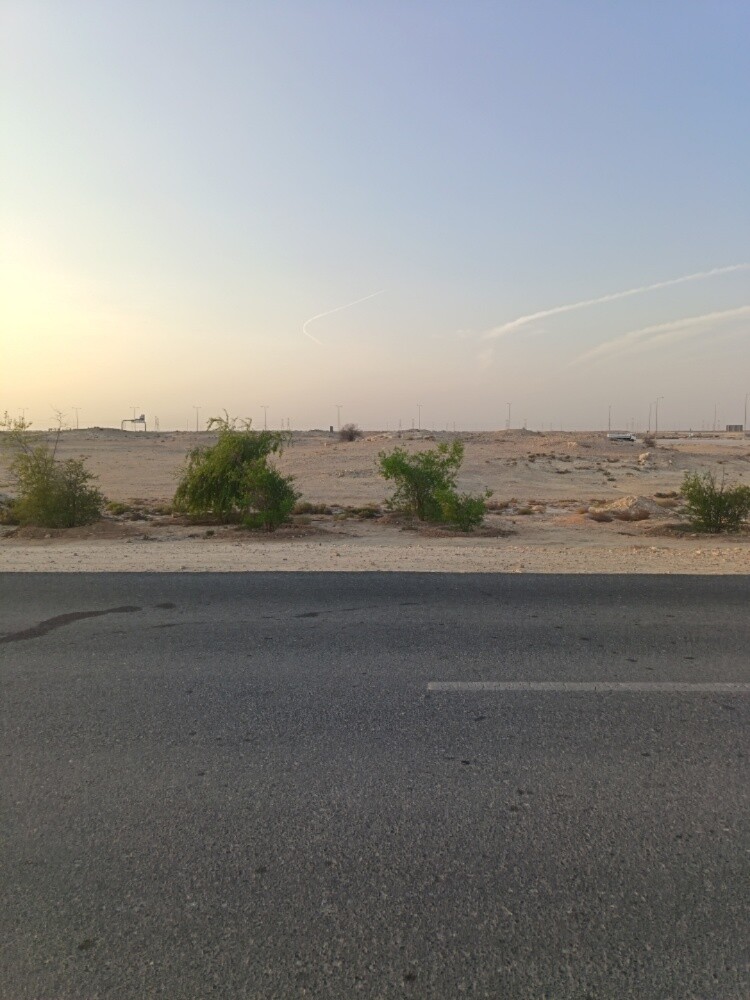 for sale - 2