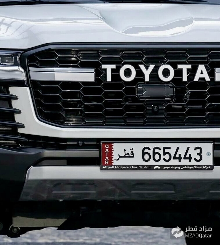 6543 Special plate  - 1