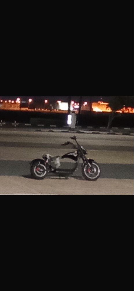 Kuugo Harley Davidson - 1