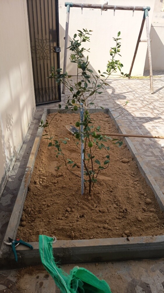 مهندس زراعي - 3