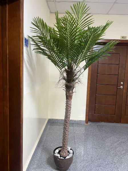 Brand new artificial palm trees - 1
