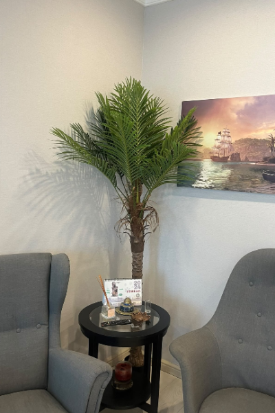 Brand new artificial palm trees - 3