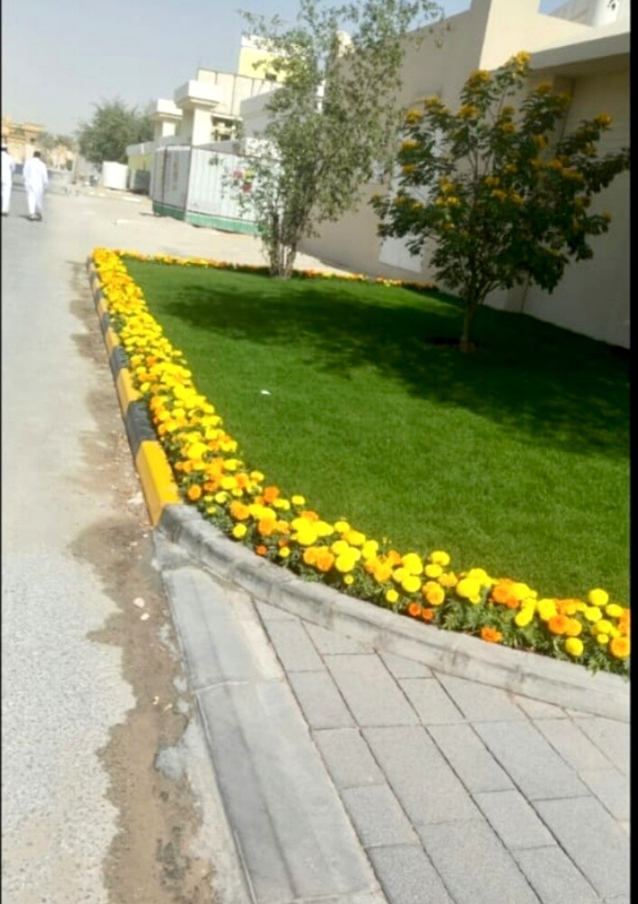 Garden house - 5