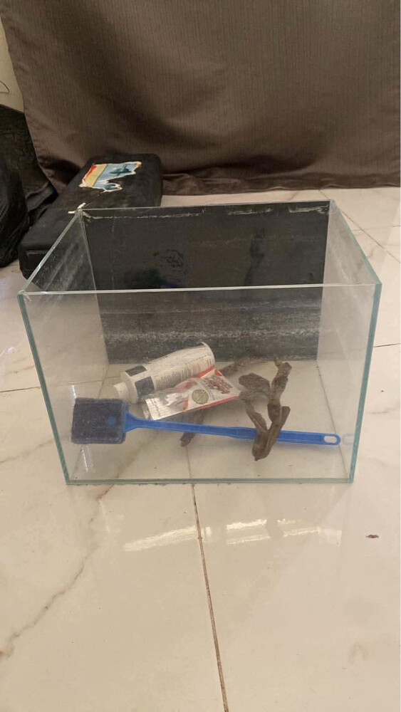 aquarium and canister filter - 1