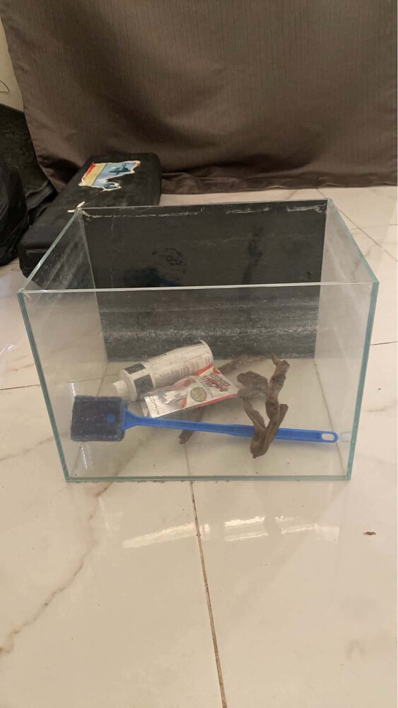 aquarium and canister filter - 3