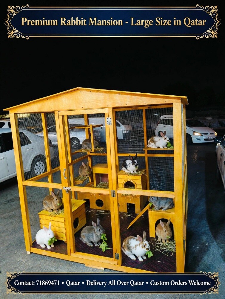 All furniture sale chicken house - 2