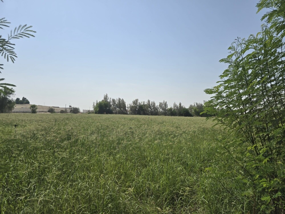 للبيع مزرعه بالعطوريه - 14