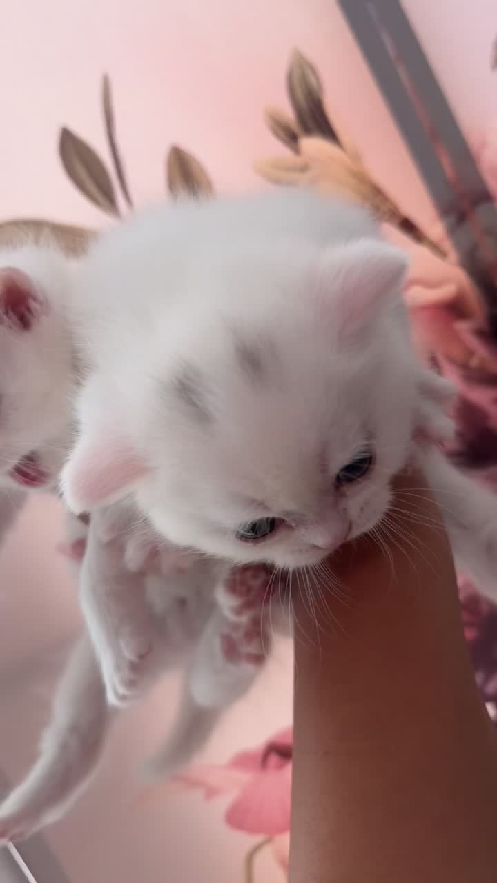 female & male  - 3