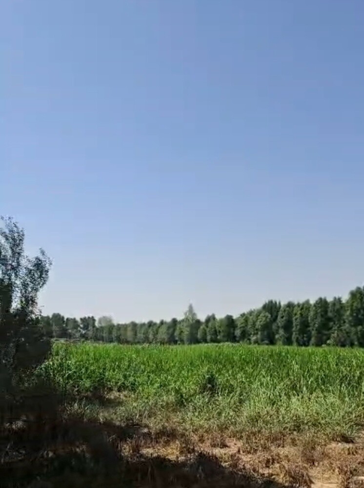 للبيع مزرعه على طريق الشمال - 3