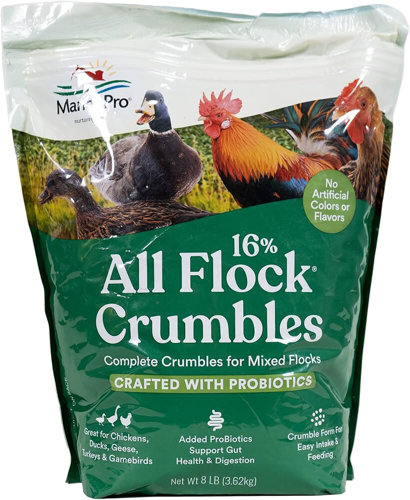 Animal feed wanted (All flock ) - 3