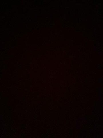 مطلوب وكري أو اي طير جوف الوصف - 1