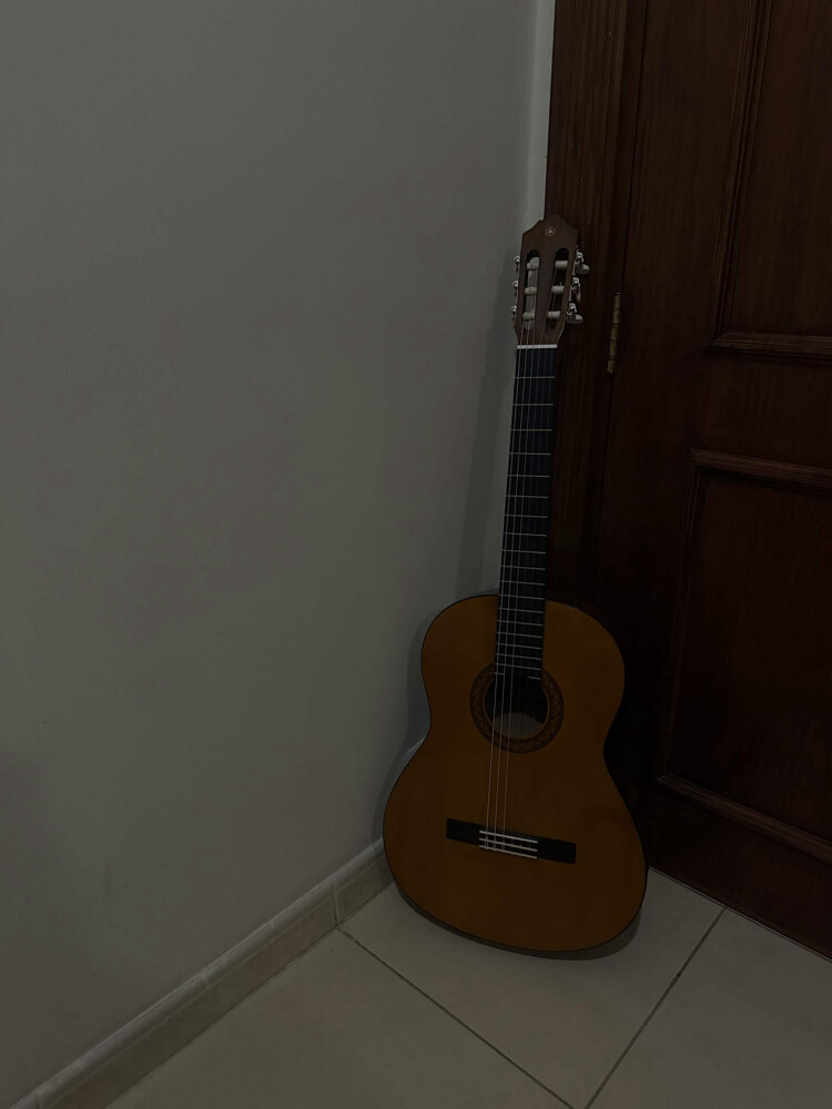guitar  - 5