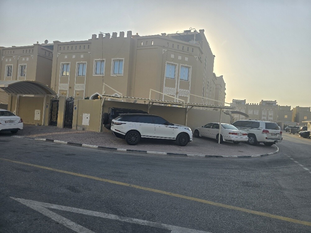 فلتين متلاصقين بأم العمد للبيع - 2