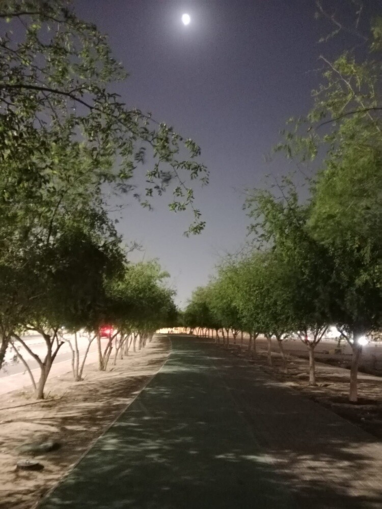 رقطي30توصل33151840 - 6