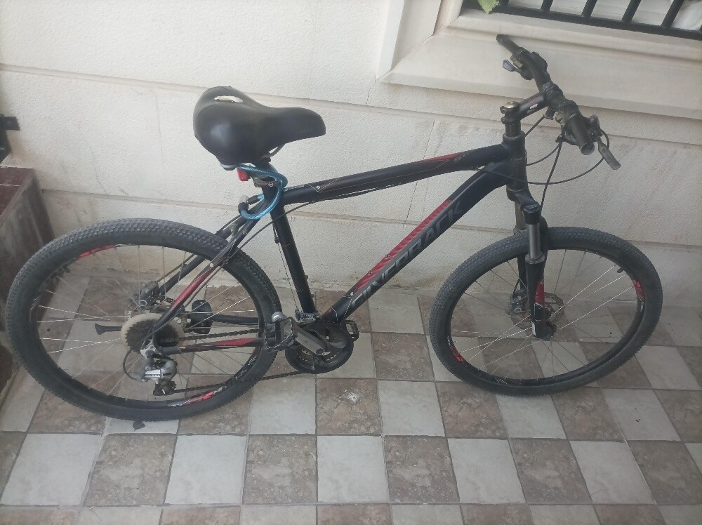 Silverback Mountain Bike for Sale - 1