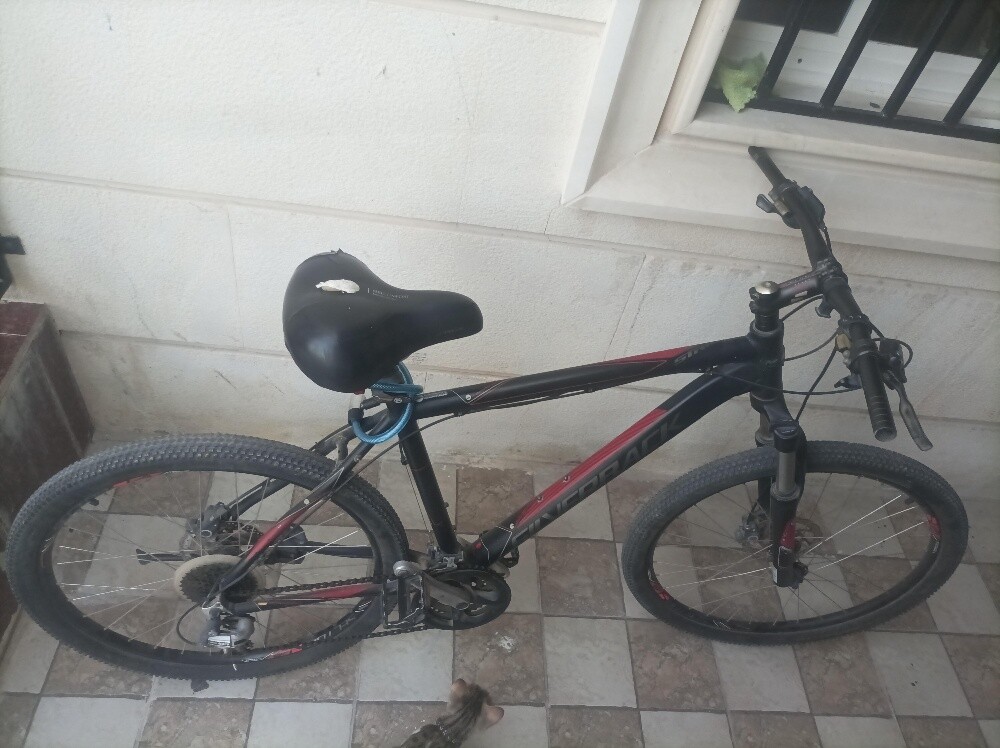Silverback Mountain Bike for Sale - 2