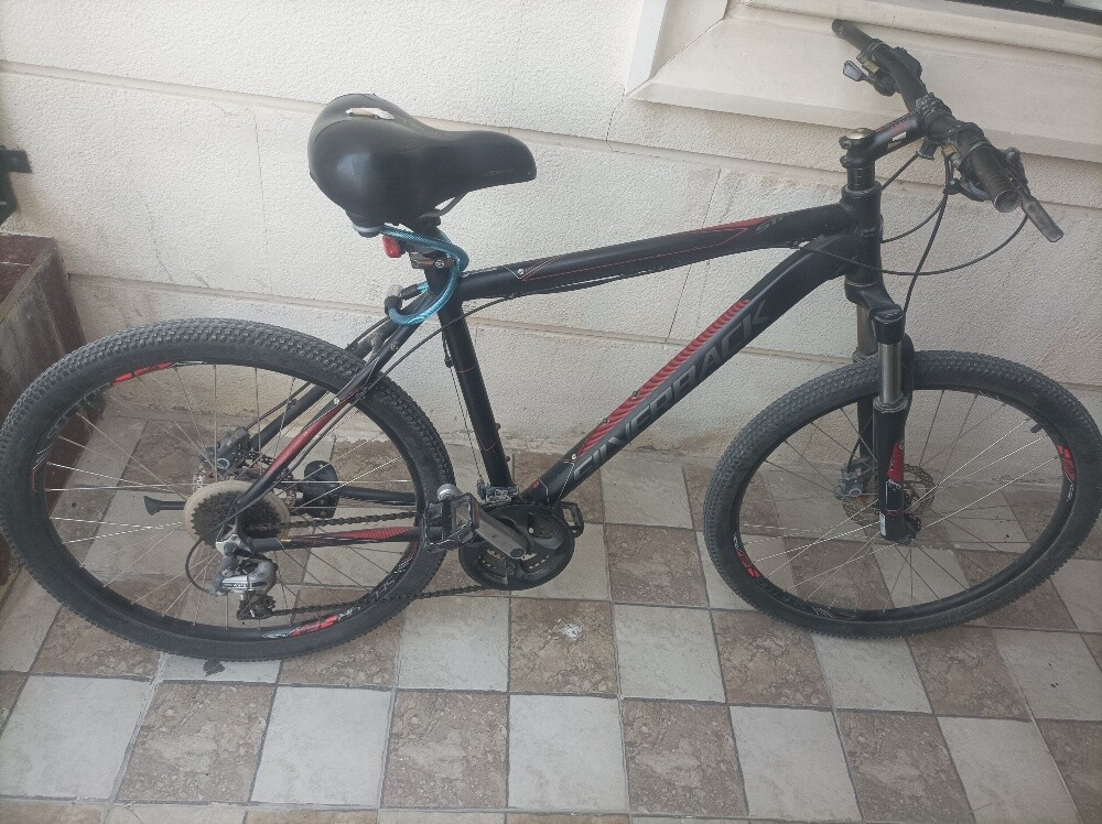 Silverback Mountain Bike for Sale - 3