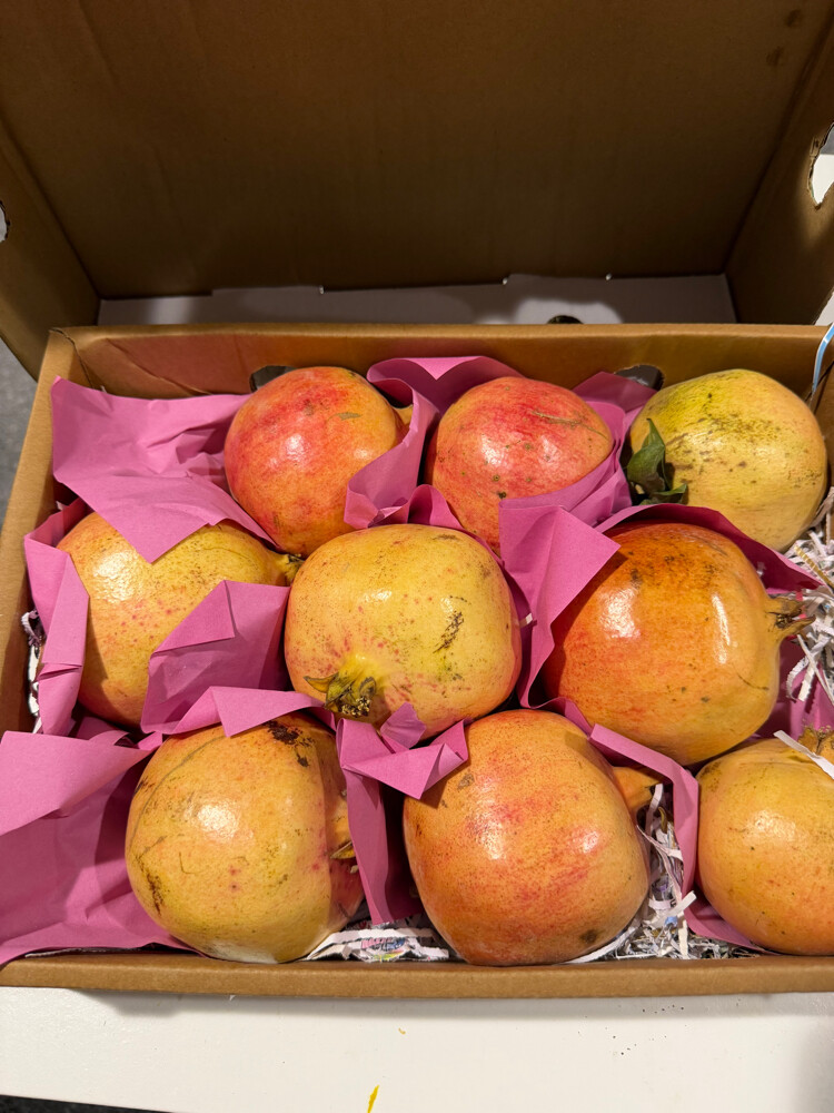 Premium-grade Yemeni pomegranates - 2