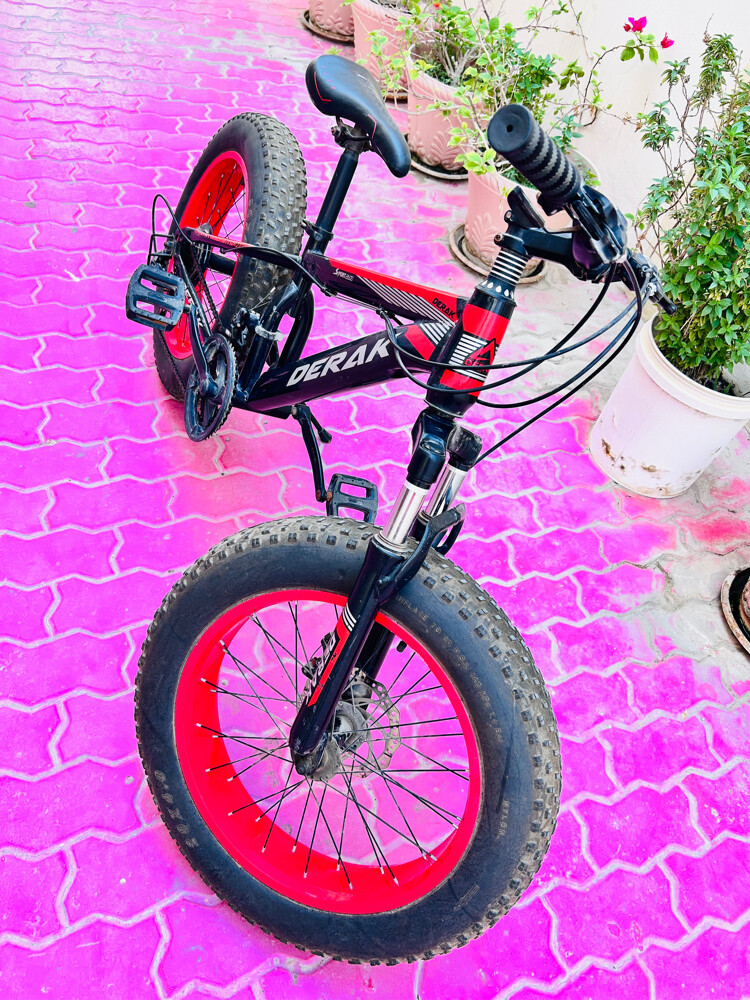 FAT Tyre mountain bicycle for sale  - 8