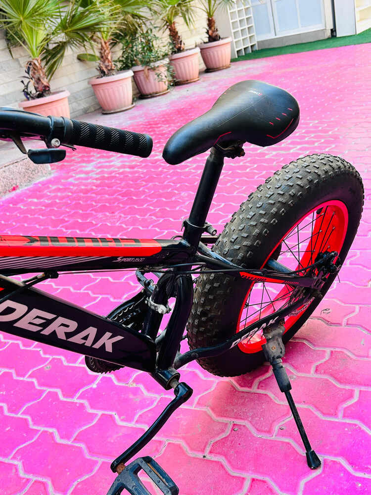 FAT Tyre mountain bicycle for sale  - 6