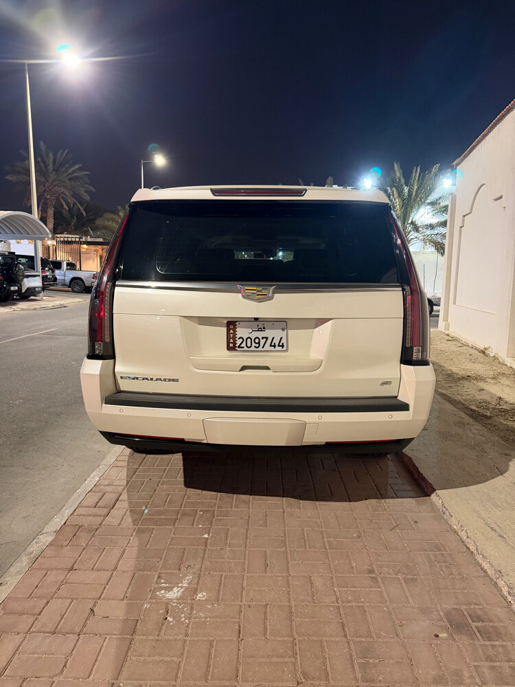 2015 Cadillac Escalade platinum  - 3