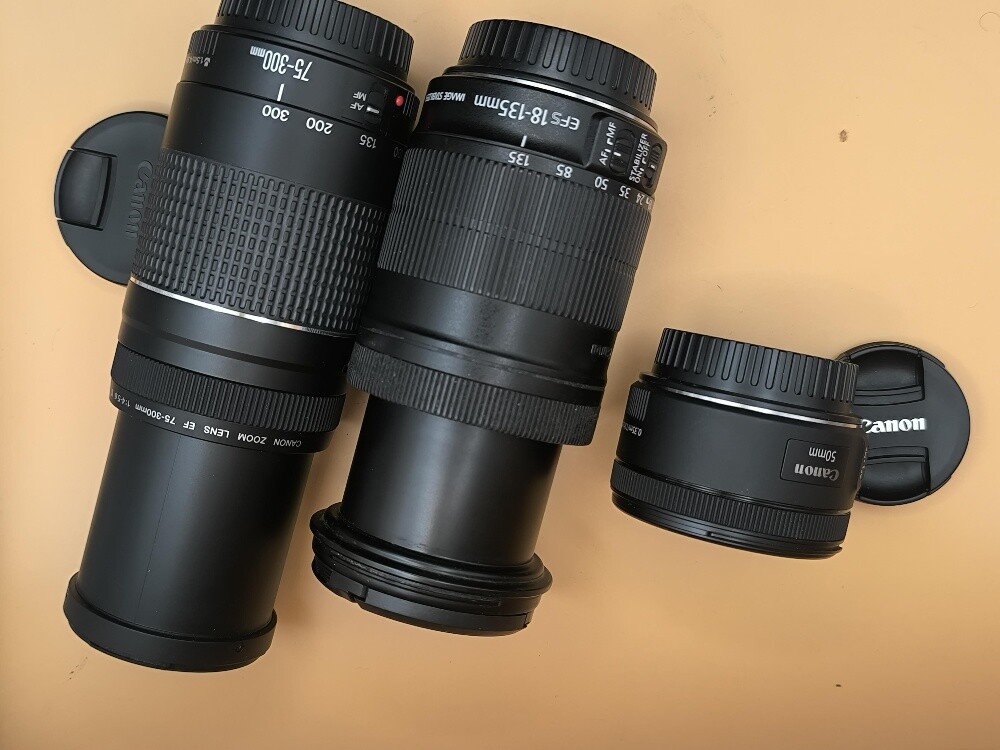 canon lens mic for sale - 9