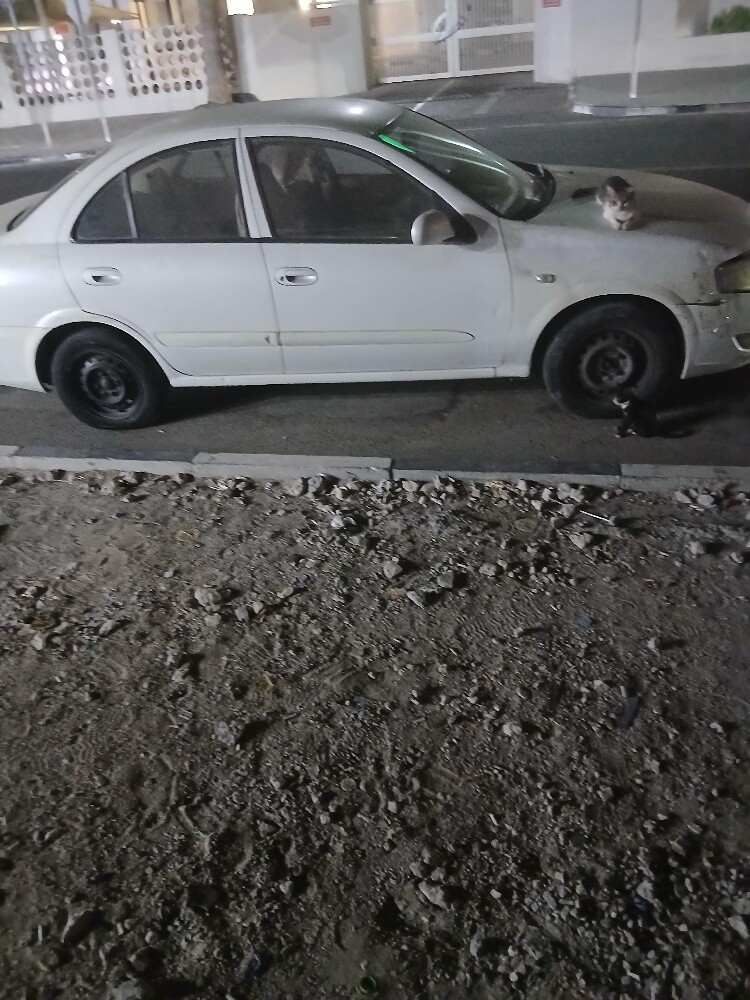 نيسان صنى - 2