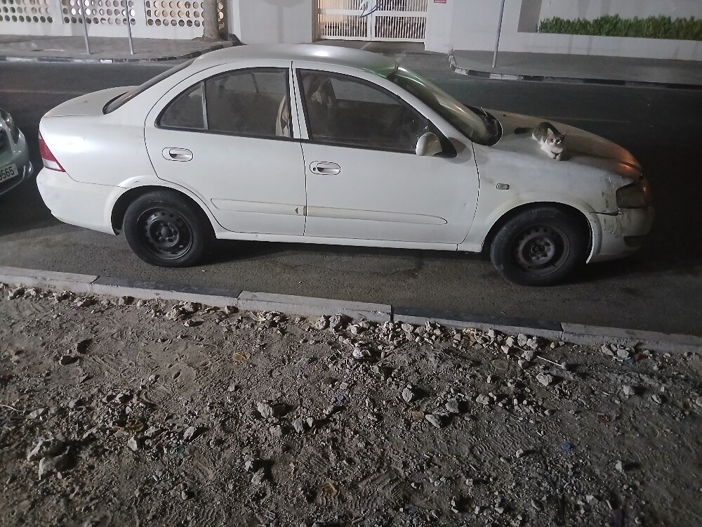 نيسان صنى - 1