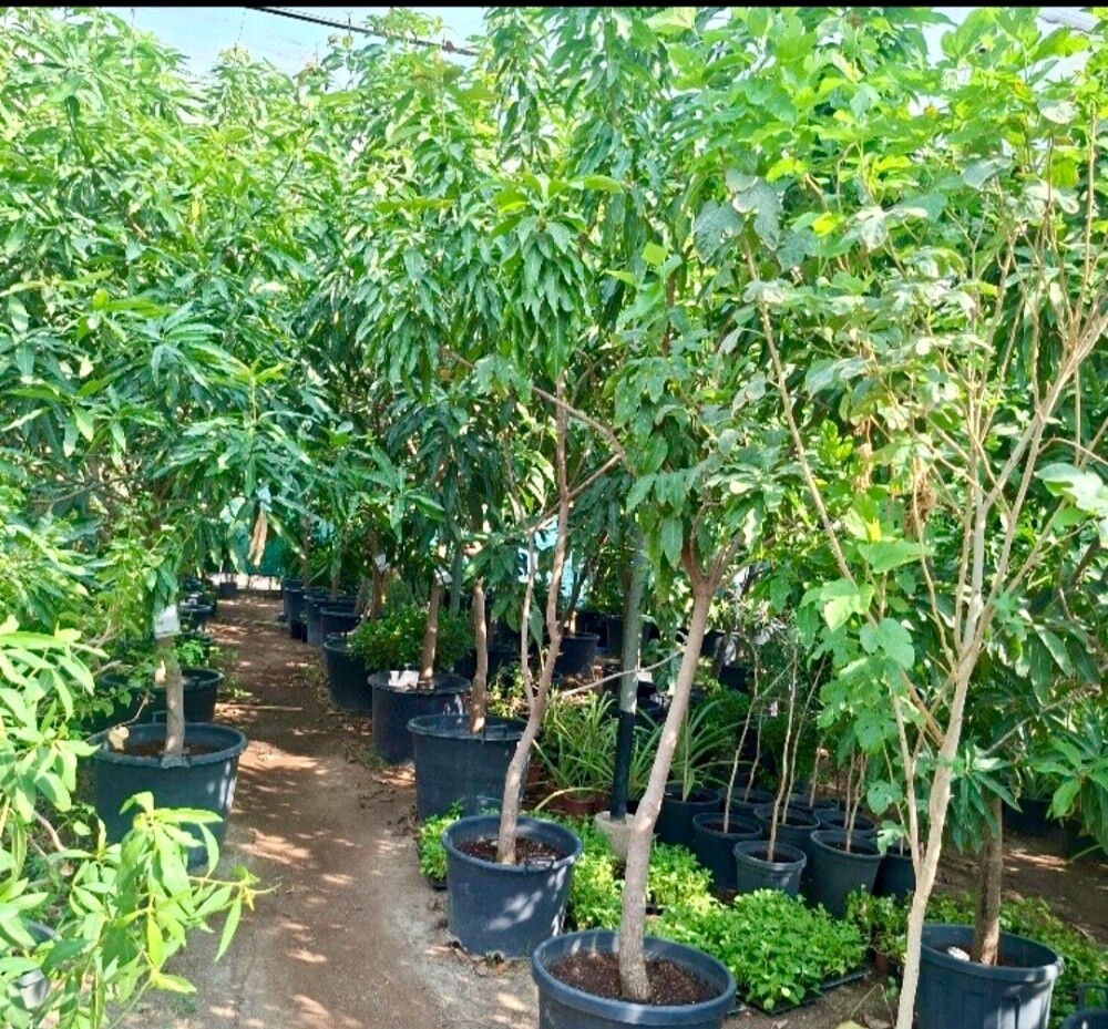 Garden and new agriculture - 5