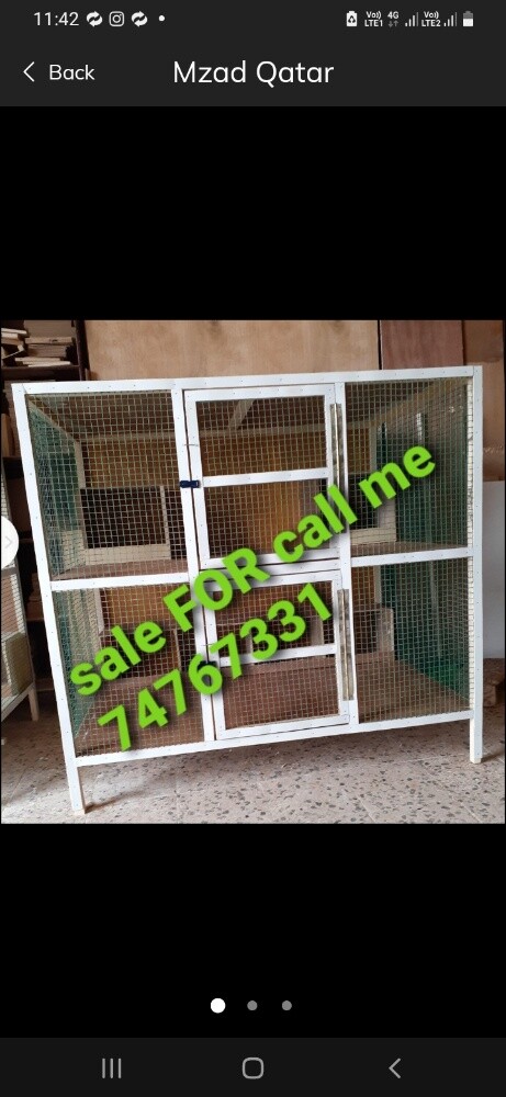 chicken and pigeon  Cage's - 1
