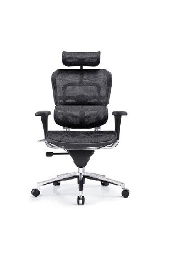 Medical Back Chair - 1