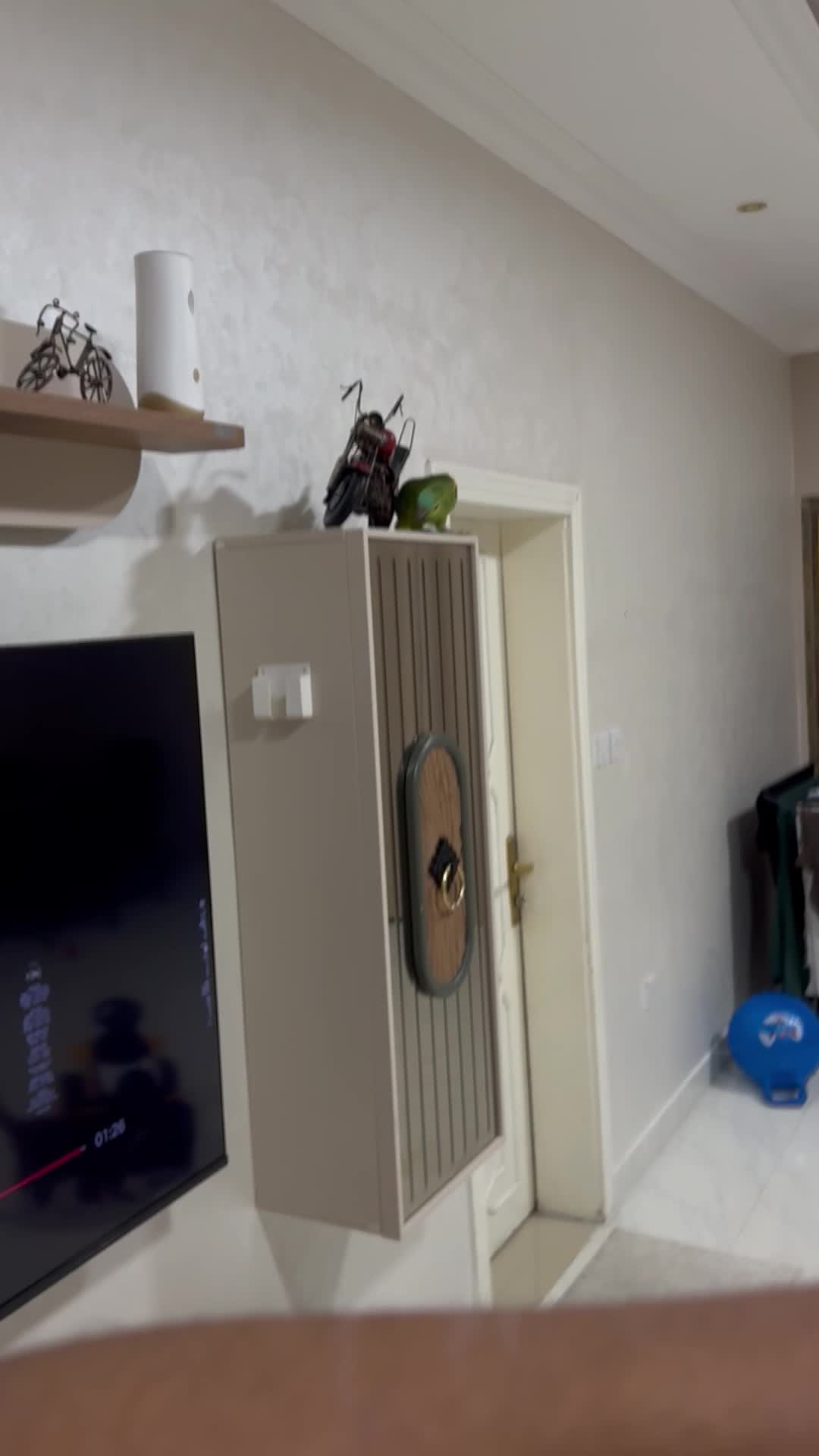 tamed free fly - 1