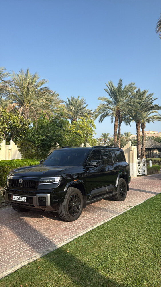 دينزا بي ٨ - 1
